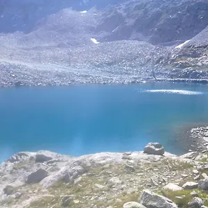 Negritella Passo del Tonale